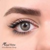لنز شماره 5 مدل Lumirere Gray رویال ویژن